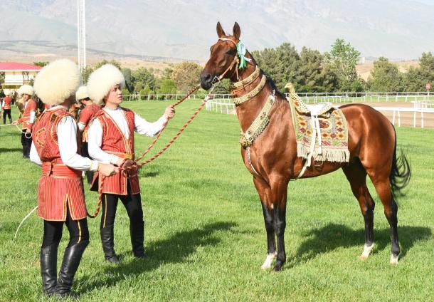 Turkmenistan — Art of Akhal-Teke horse breeding and traditions of horses’ decoration