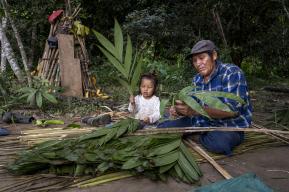 Protéger la biodiversité, se réconcilier avec le vivant : l’exemple du projet des Réserves de biosphère en Amazonie 