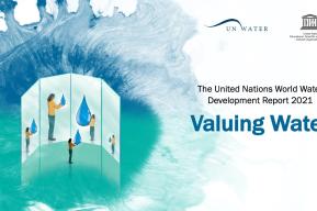 Launch of UN World Water Development Report 2021: determining the true value of the “blue gold” we need to protect