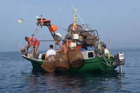 Pêcheurs, gardiens de la Mer : Découvrez l'histoire de Houssine Nibani, professeur de sciences de la vie 