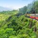 Picture of a train going passing through a green landscape in Shimla, India