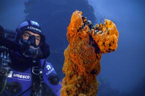 Underwater volcanoes: exceptional images filmed in the Mediterranean