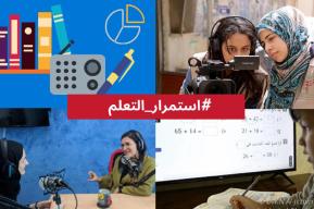 Virtual workshop on distance education programmes using radio and television in the Arab States