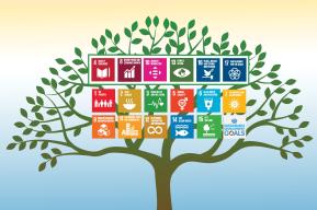 Sustainable development and financing for development