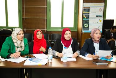 Training on Wastewater: The Untapped Resource, based on the World Water Development Report, in Cairo, Egypt