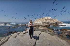 Pilar Muñoz, bióloga marina chilena: “Debemos reconectar a las personas con el mar”